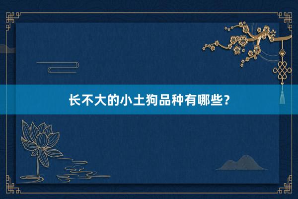 长不大的小土狗品种有哪些?