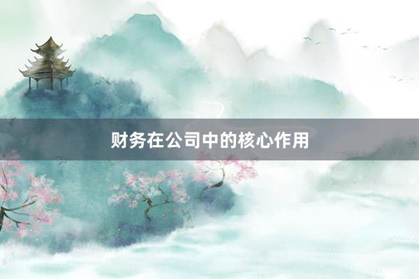 财务在公司中的核心作用