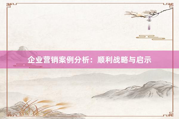 企业营销案例分析：顺利战略与启示